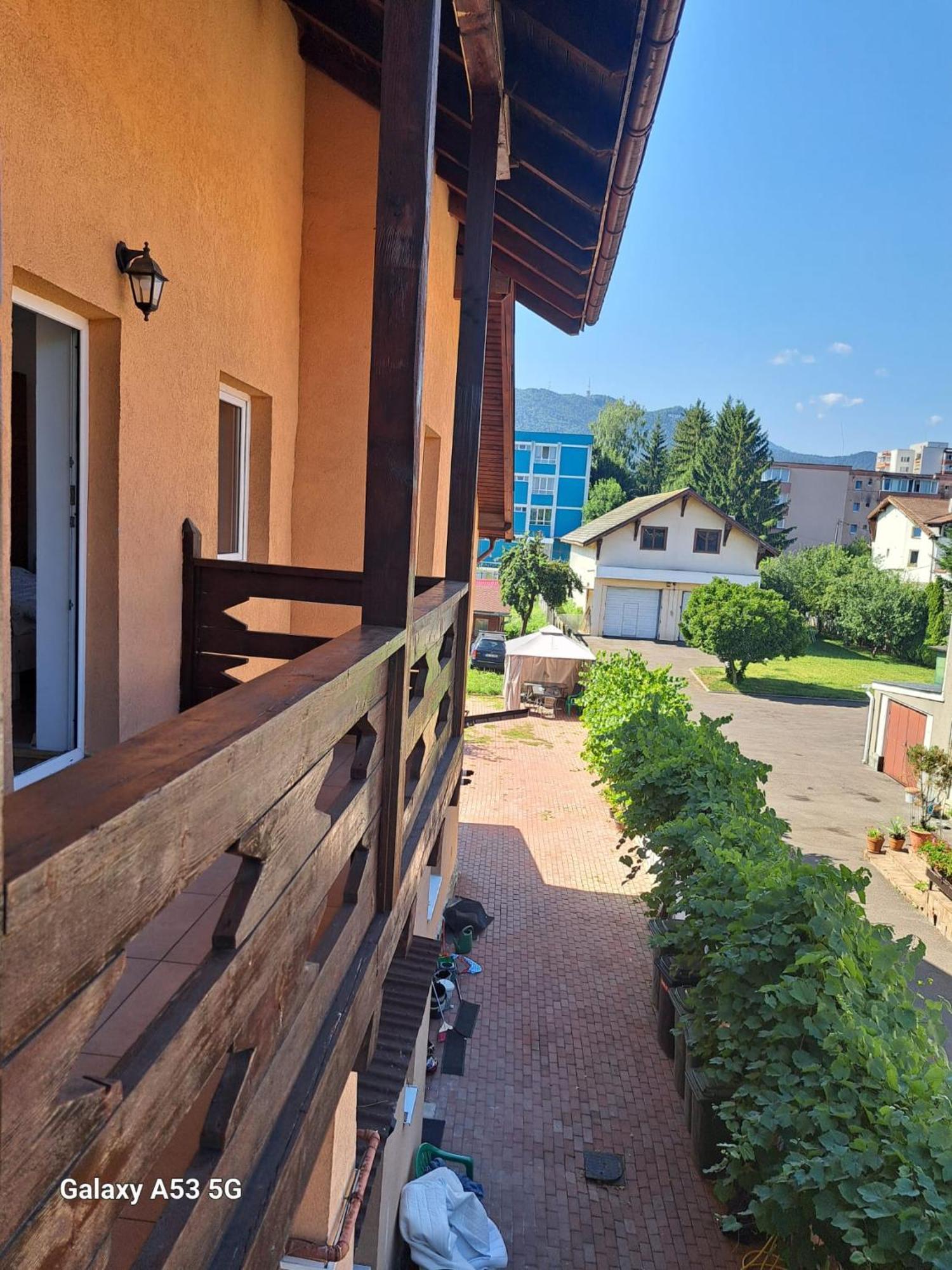 Casa Vlaicu *